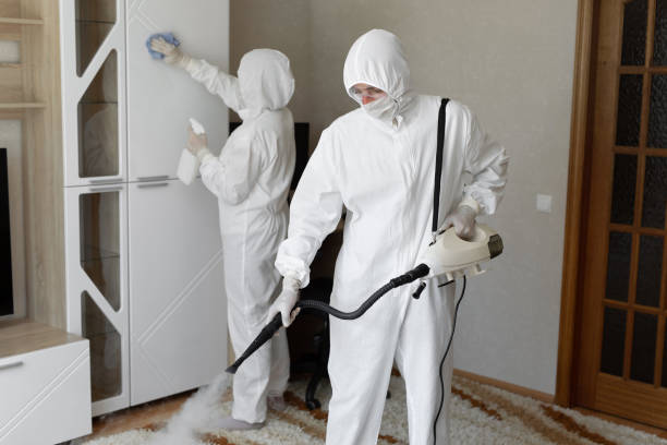 Trusted Rutgers University Busch Campus, NJ Mold Removal Experts